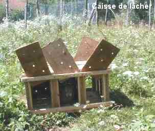 Caisse de lcher